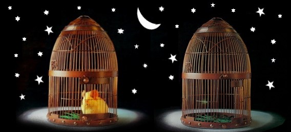 Crack cage and starry night